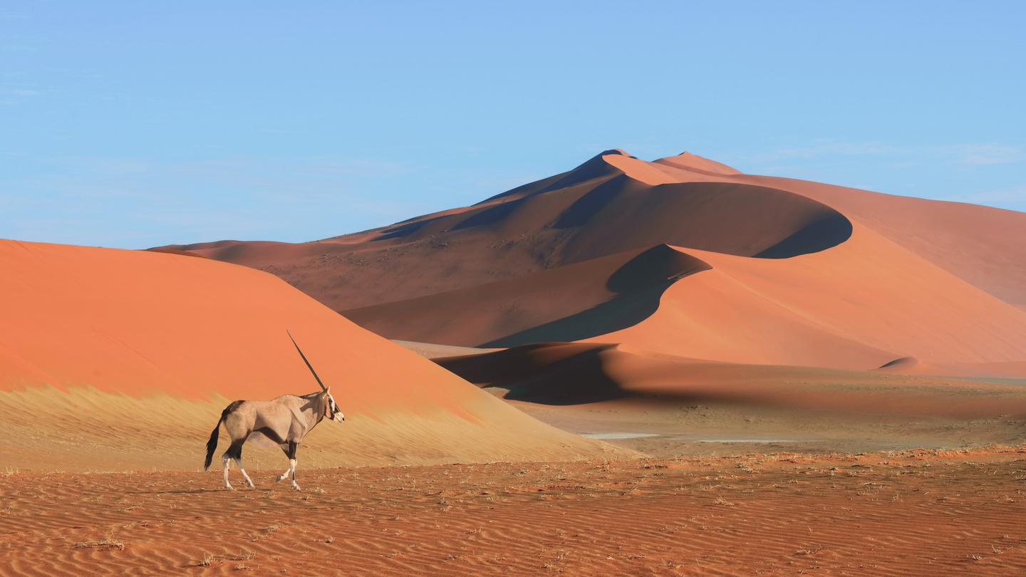 afrika-namibia-wueste-g-1954443282.jpg