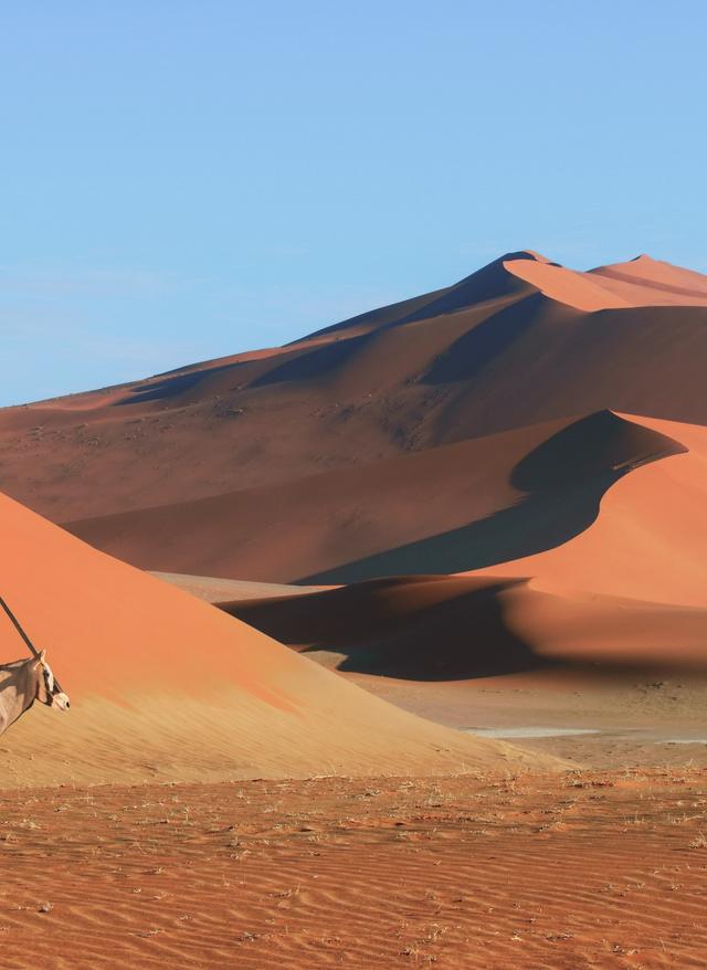 Die schönsten Namibia-Highlights