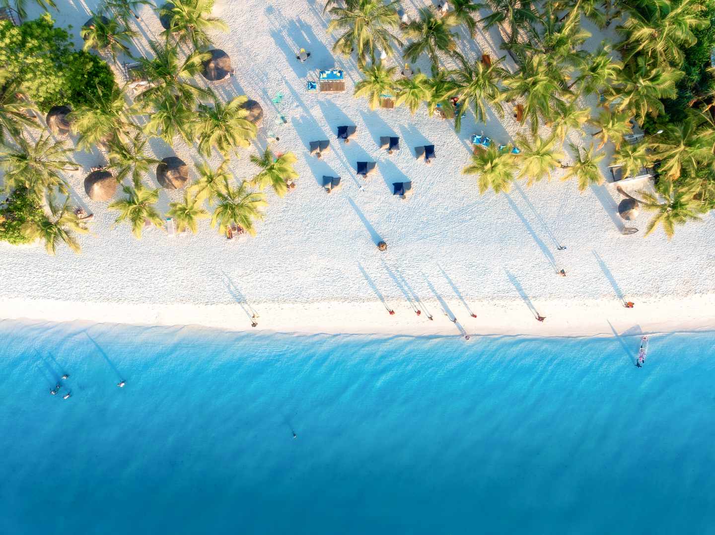 tansania-sansibar-kendwa-palmen-strand-sonnenschirme-indischer-ozean-luftaufnahme-g-2140772797.jpg