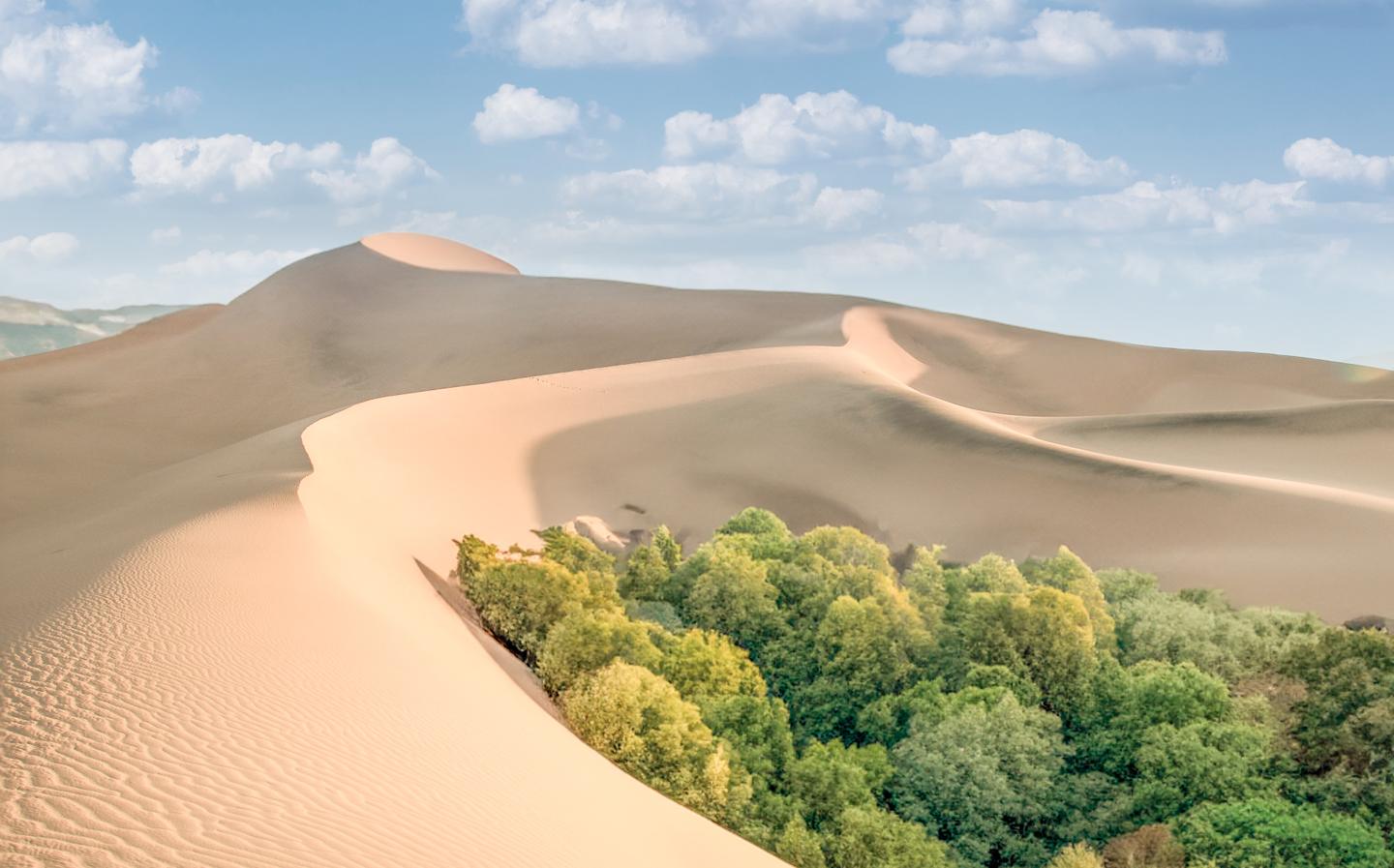 tunesien-wueste-sahara-wuestentour-g-1498227674.jpg
