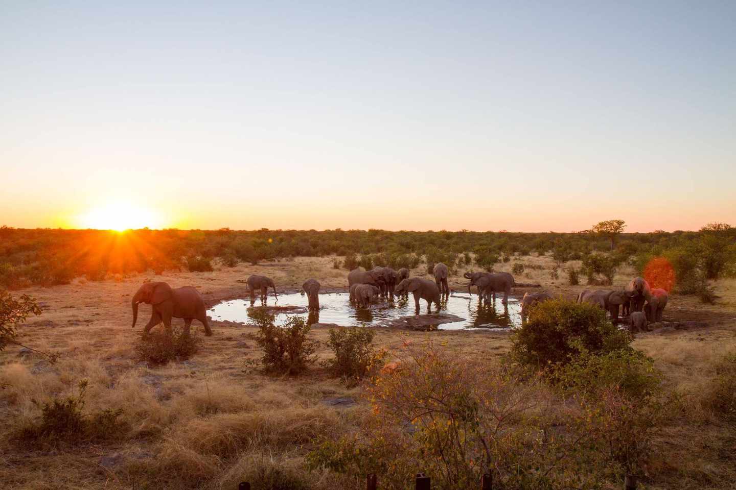 namibia-elefanten-am-wasserloch-g-500573878.jpg