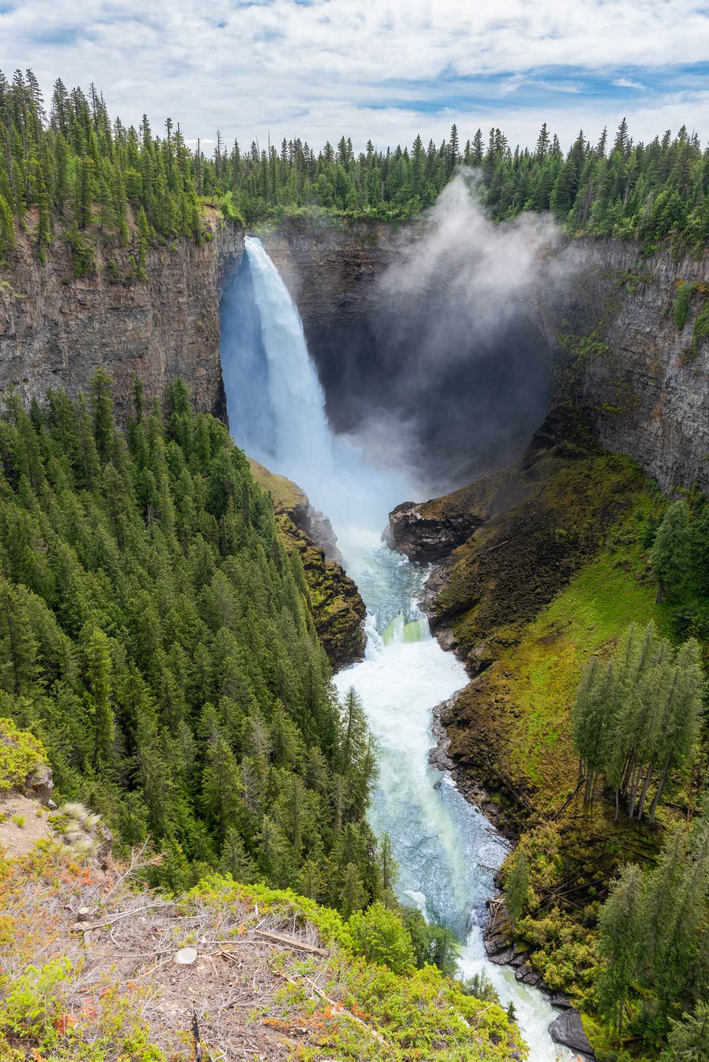 GettyImages-2279041044.jpg Wasserfall stürzt in eine tiefe Felsenschlucht umgeben von dichtem Nadelwald und aufsteigendem Sprühnebel