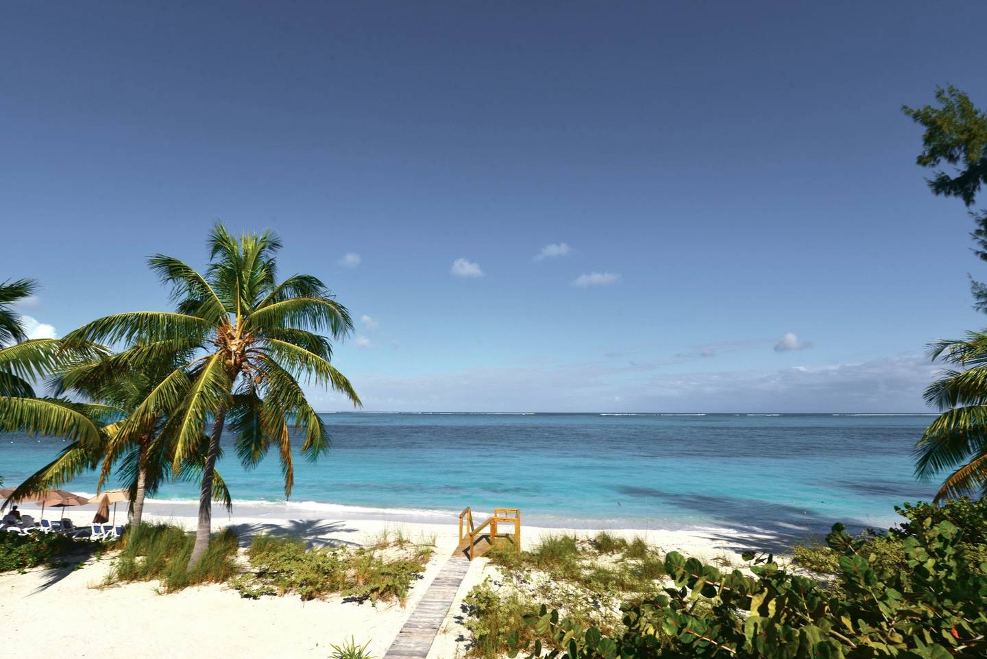 blt64605ae664454671-bahamas-strand-mit-palmen-klein-g-496970329.jpeg bahamas-strand-mit-palmen-klein-g-496970329.jpg