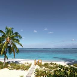 bahamas-strand-mit-palmen-klein-g-496970329.jpg