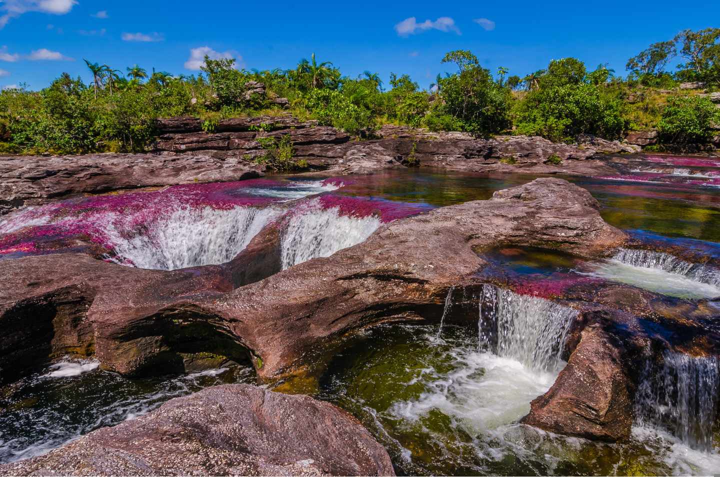 kolumbien-cano-cristales-klein-g-1201458417.jpg