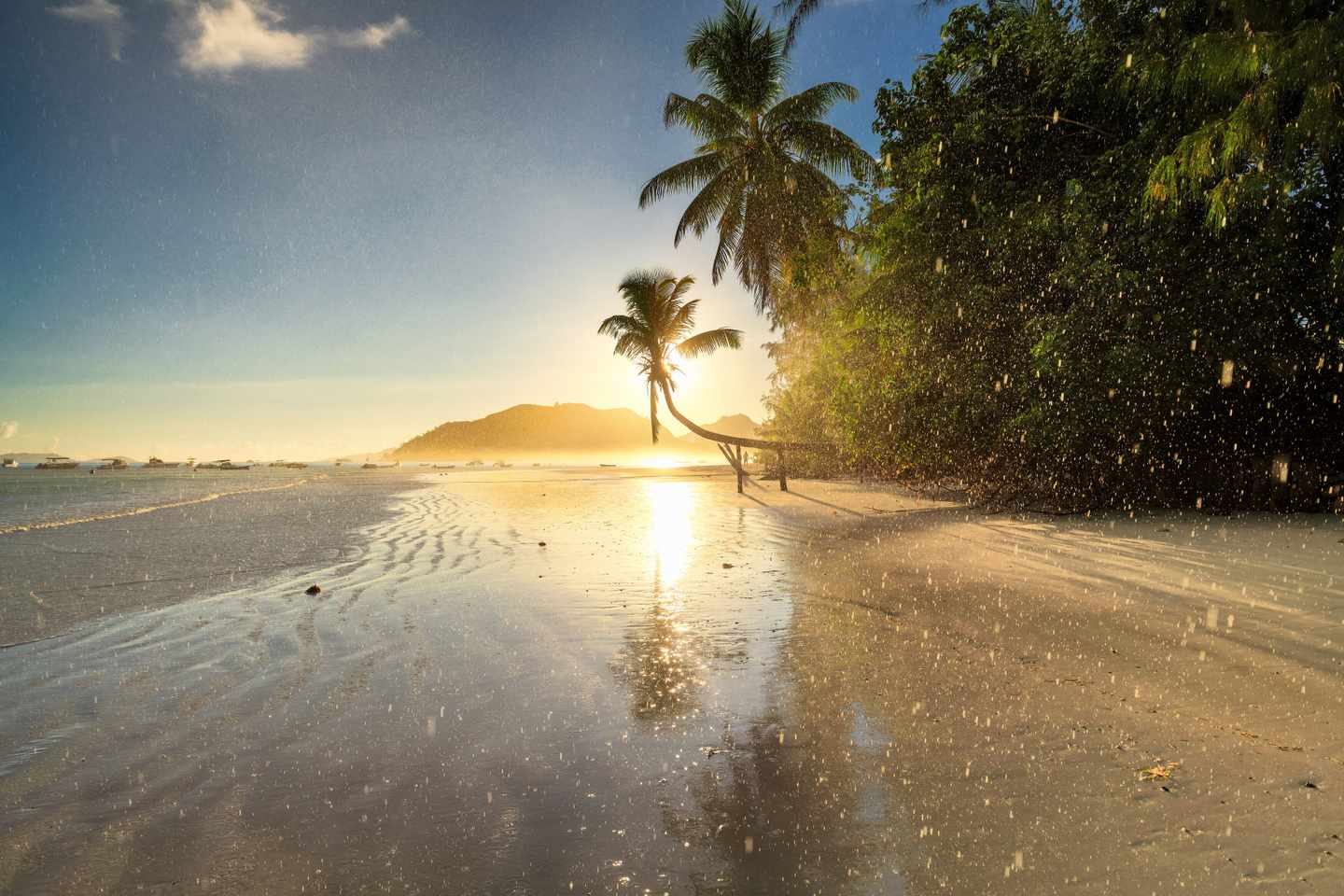 seychellen-praslin-sunrise-beach-island-tropischer-regen-bei-sonnenuntergang-am-strand-g-1126610868.jpg