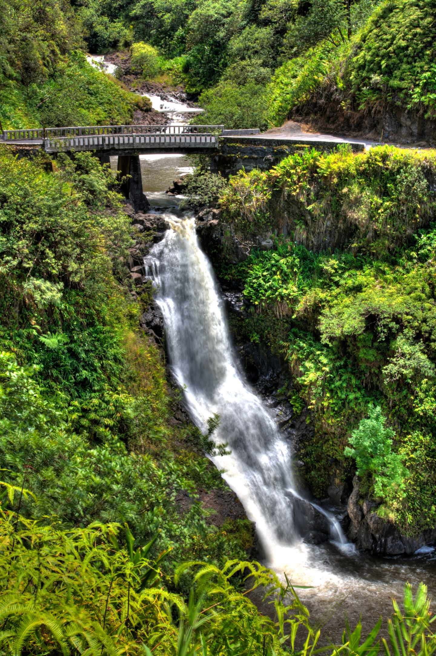 GettyImages-117214081.jpg tropischer Dschungelwasserfall stürzt unter einer Brücke auf dem Hana Highway auf Maui in die Tiefe