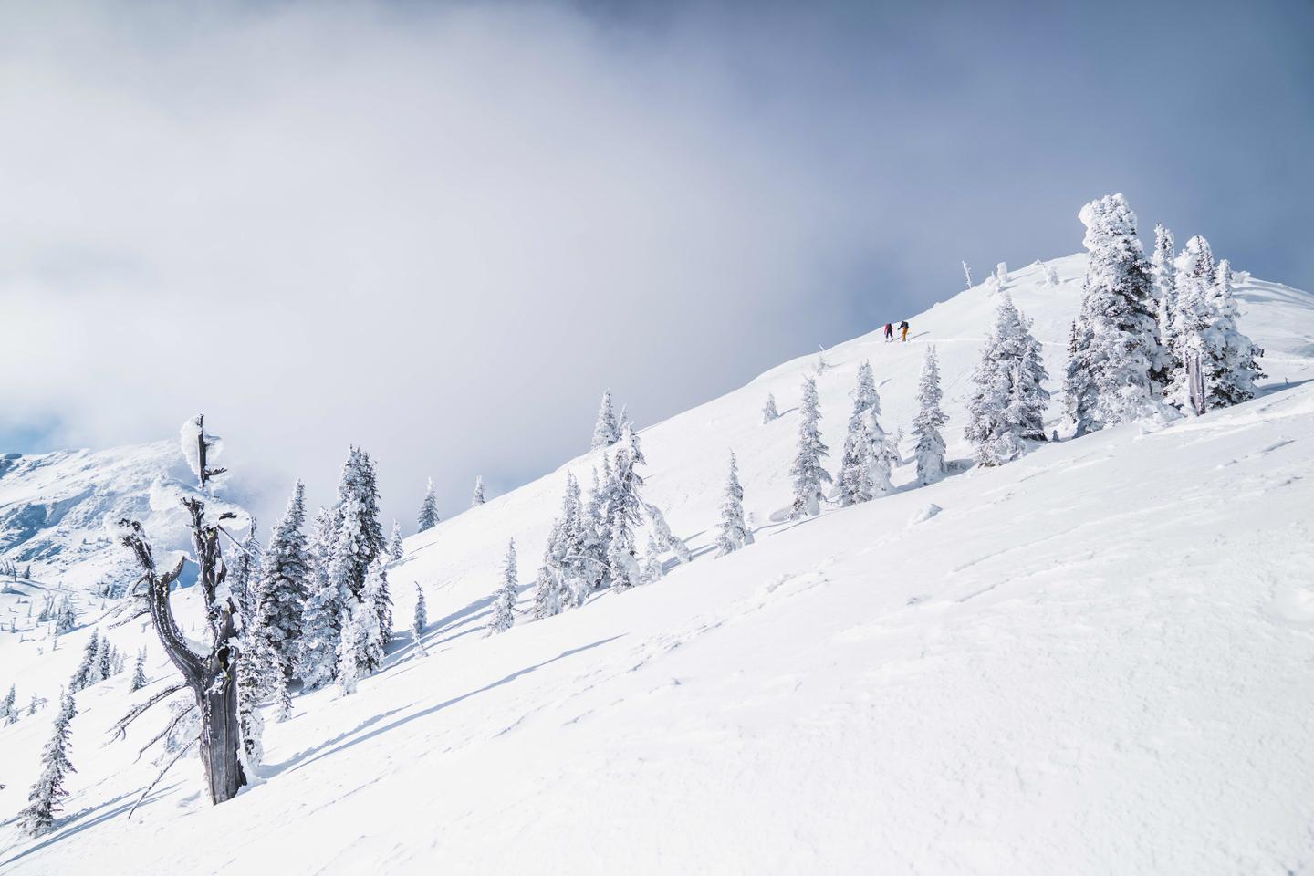 kanada-british-columbia-rossland-red-mountain-skifahrer-stapfen-piste-hinauf-g-1138926623.jpg