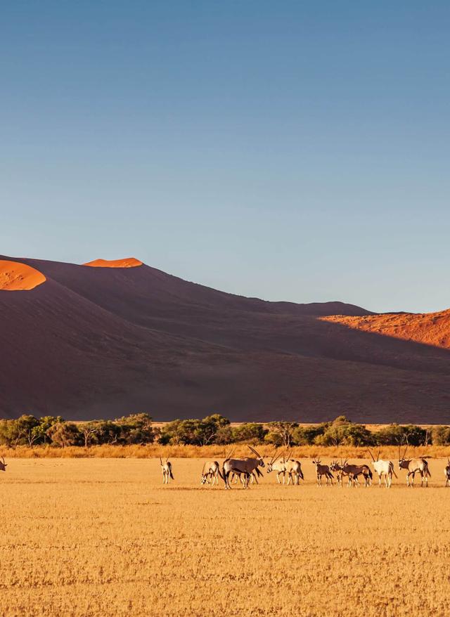 Nationalparks in Namibia