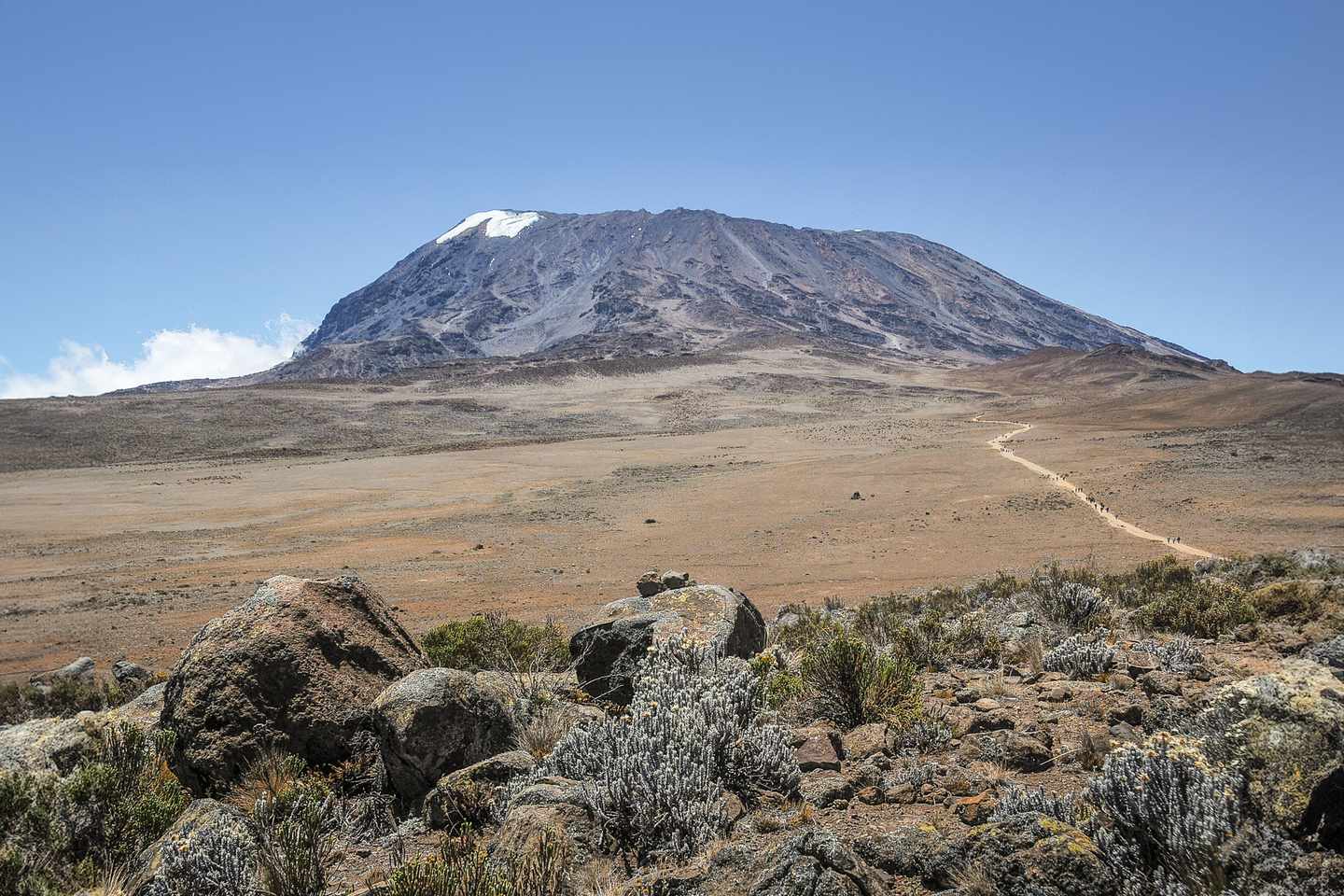 afrika-tansania-kilimandscharo-marangu-wandern-bergsteigen-g-460518313.jpg
