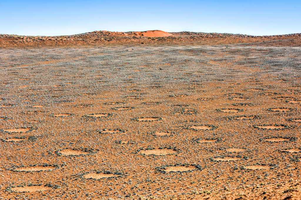 Blick auf die Feenkreise in der Namib-Wüste im Namik-Naukluft-Nationalpark