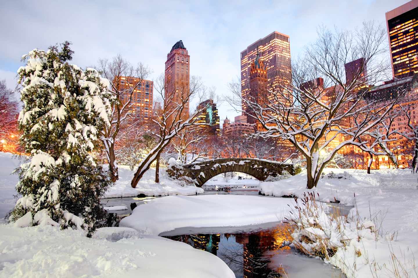 usa-new-york-winter-im-central-park-g-117146675