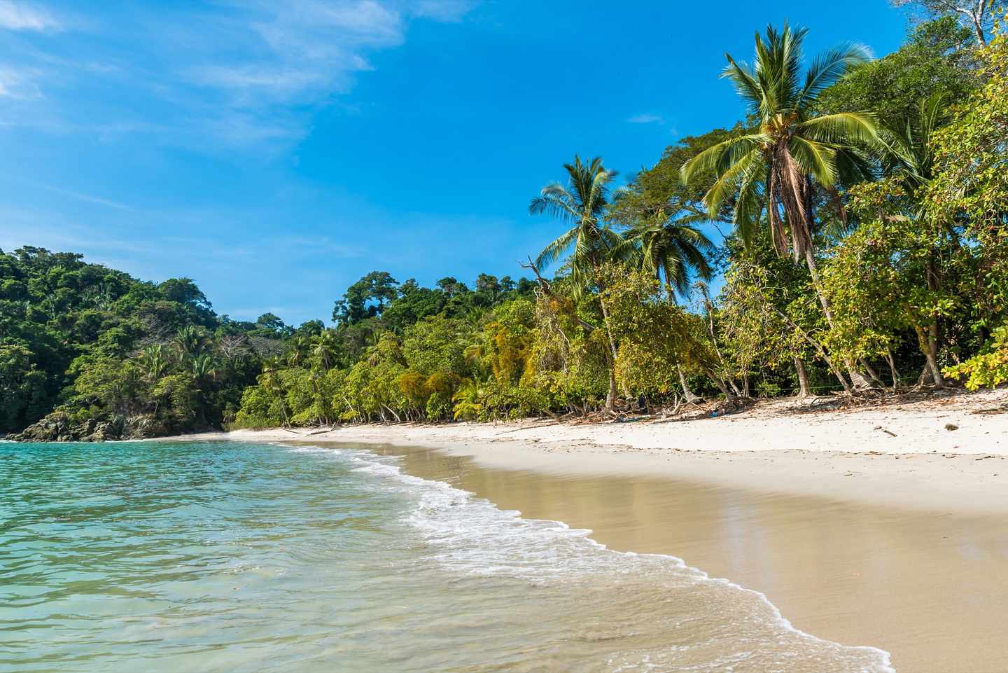 costa-rica-manuel-antonio-nationalpark-strand-g-597643454.jpg