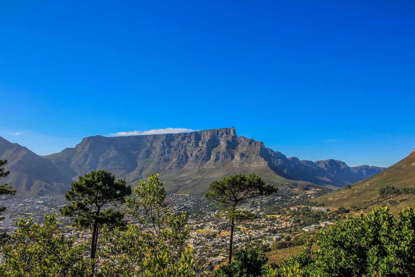 kapstadt-tafelberg-f-IMG_6366.jpg