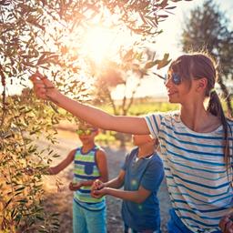 italien-toskana-frau-mit-kindern-olivenbaum-g-843312748.jpg