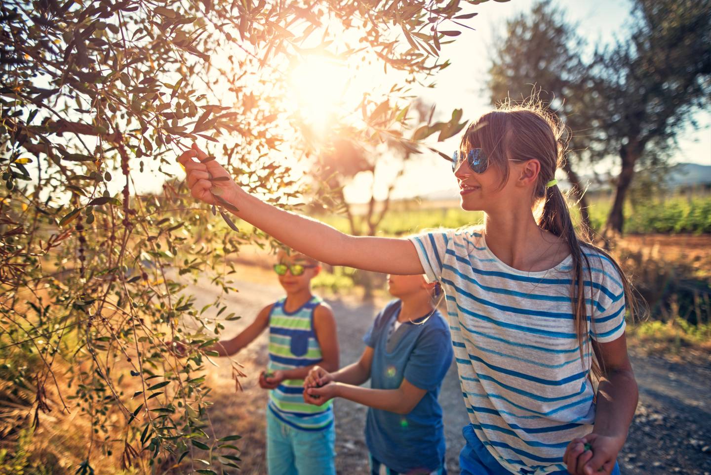 bltb0edcf3419486ab5-italien-toskana-frau-mit-kindern-olivenbaum-g-843312748.jpg italien-toskana-frau-mit-kindern-olivenbaum-g-843312748.jpg