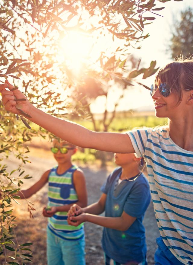 Familienurlaub Italien italien-toskana-frau-mit-kindern-olivenbaum-g-843312748.jpg
