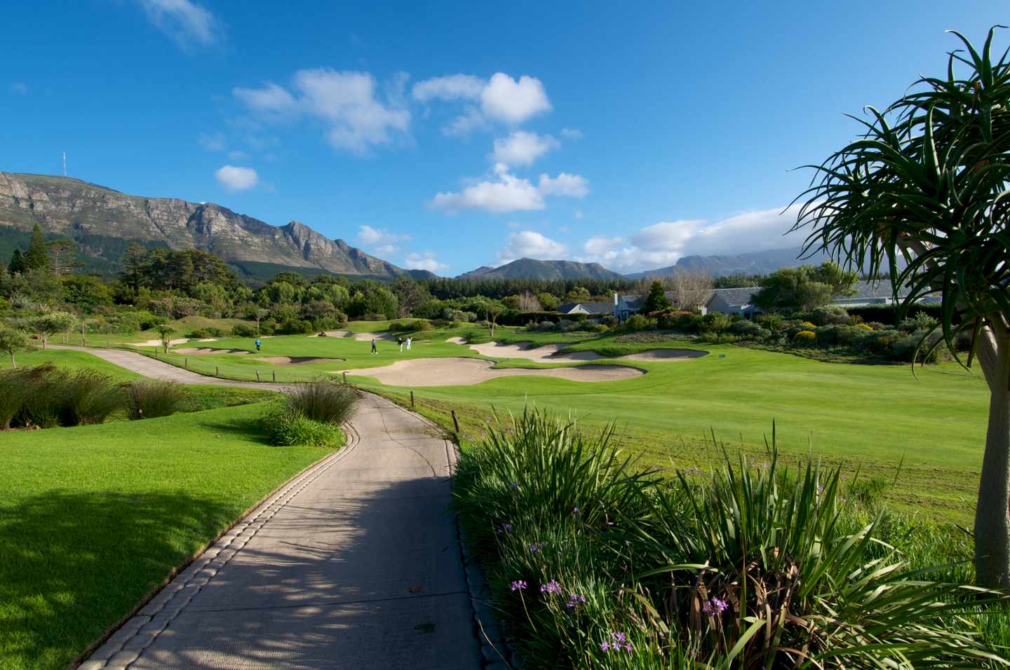 suedafrika-kapstadt-golfplatz-g-103972431.jpg