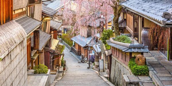 kyoto-japan-strasse-kirschbaum-t-924114674.jpg