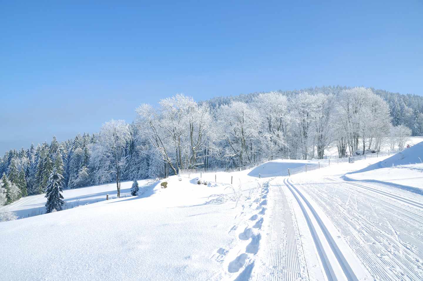 deutschland-bayerischer-wald-winter-schnee-g-493245363.jpg