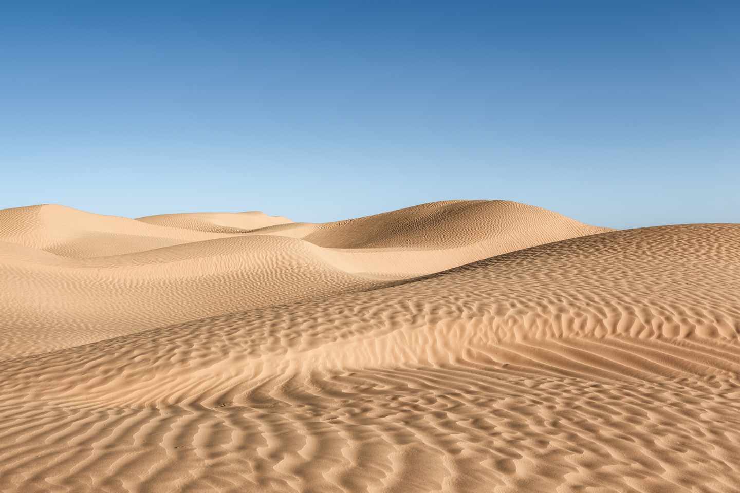 tunesien-sahara-wueste-great-eastern-g-503567904.jpg