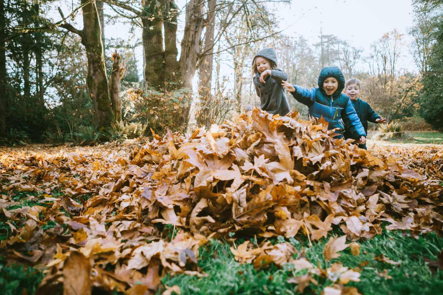 kinder-spielen-im-herbstlaub-g-1066694060.jpg