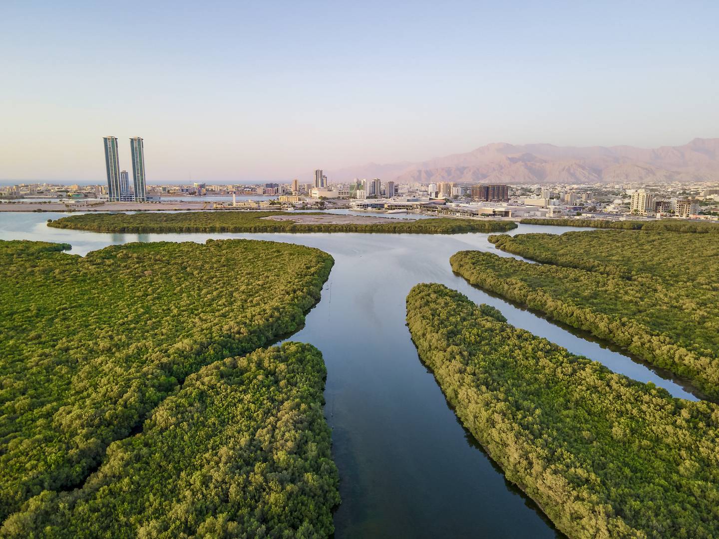 Ras-al-Khaimah-Skyline-über-Mangroven-g-1272849094.jpg