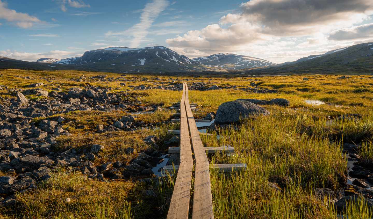 Schweden-Lappland-Kungsleden-Landschaft-DERTOUR-g-1473146366.jpg