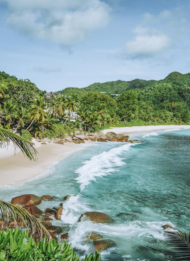 Seychellen Strand blaues Meer und Palmen