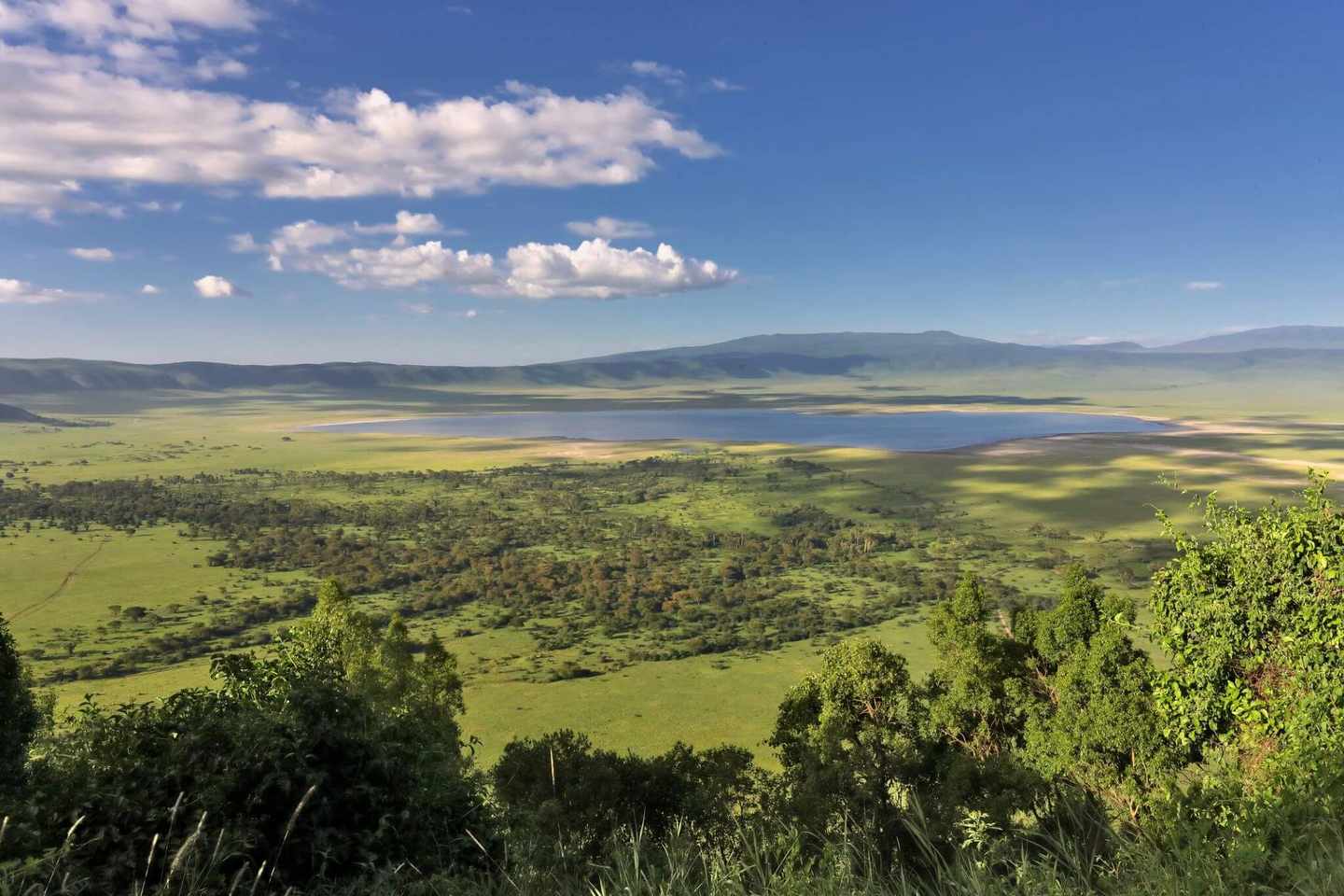 afrika-krater-nationalpark-ngorongoro-dertour-g-1131182813.jpg