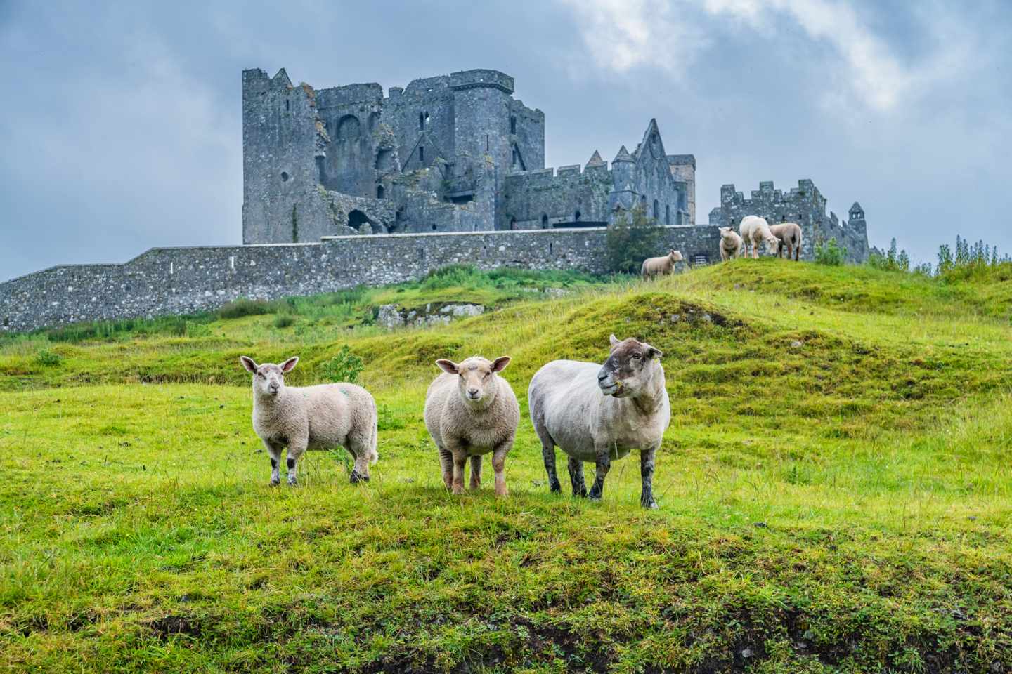 Ross Castle am See Lough Leane im Killarney Nationalpark, umgeben von Bergen und Wasser 
