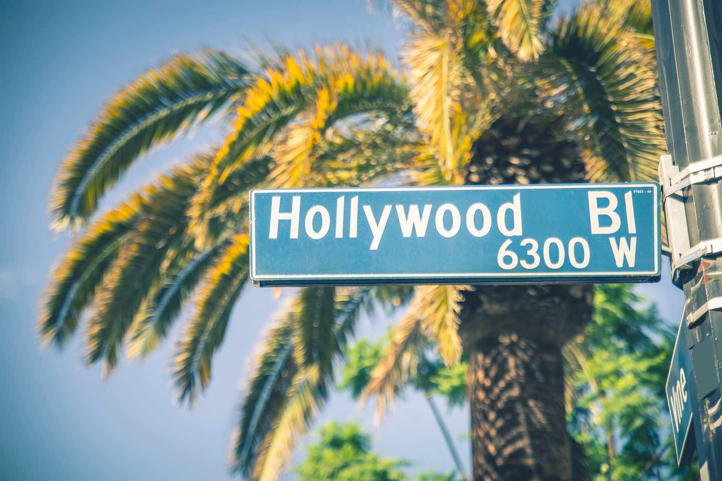 usa-los-angeles-hollywood-schild-t-494672298.jpg