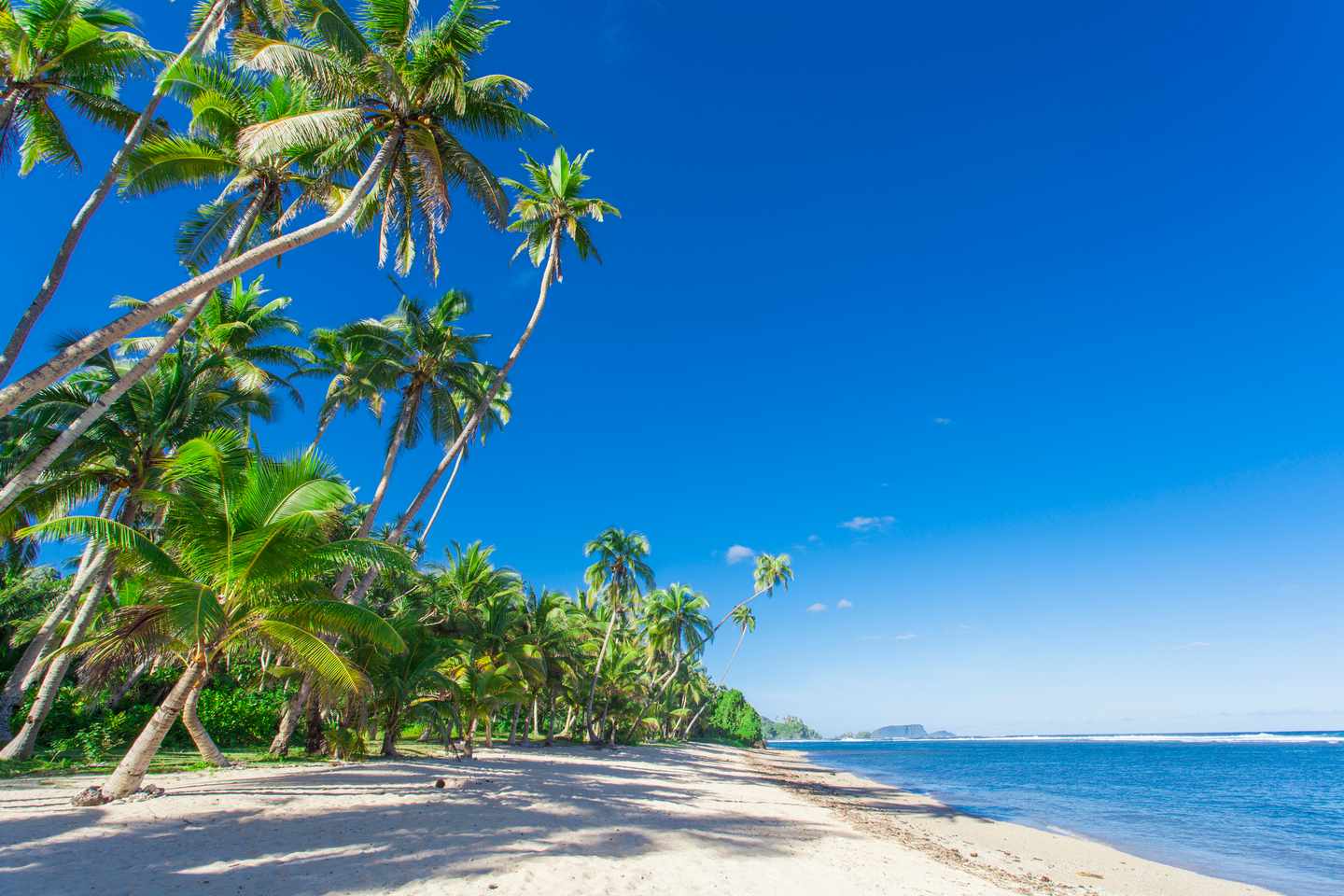 samoa-strand-t-518912545.jpg