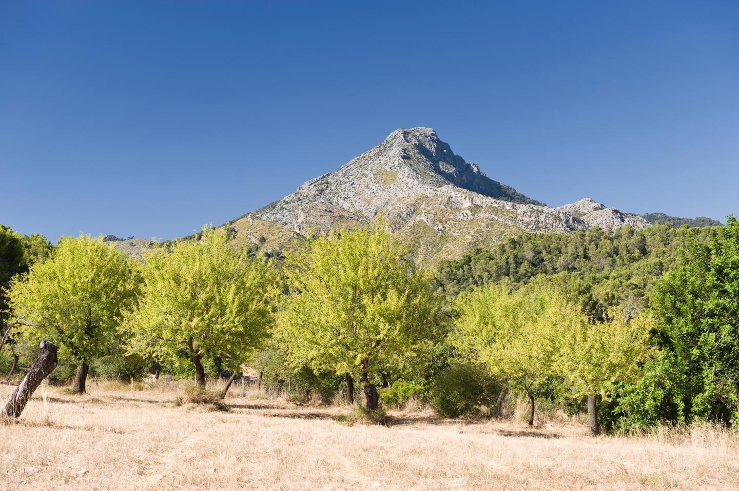 bltebcdaf21e25767b8-spanien-mallorca-berg-galazo-g-152161716.jpg spanien-mallorca-berg-galazo-g-152161716.jpg