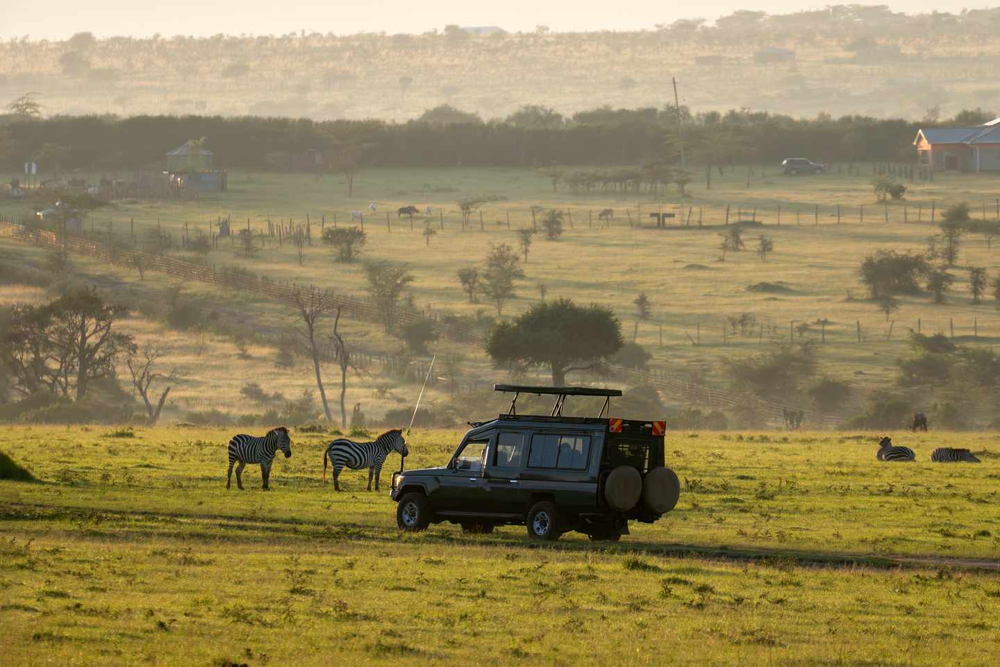 kenia-suv-safari-savanne-g-2175781112.jpg