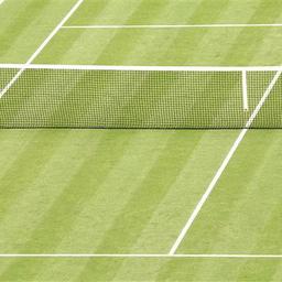 tennis-rasen-netz-g-155016837-2.jpg