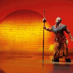 musical-koenig-der-loewen-p-S45136_E-7350664.jpg