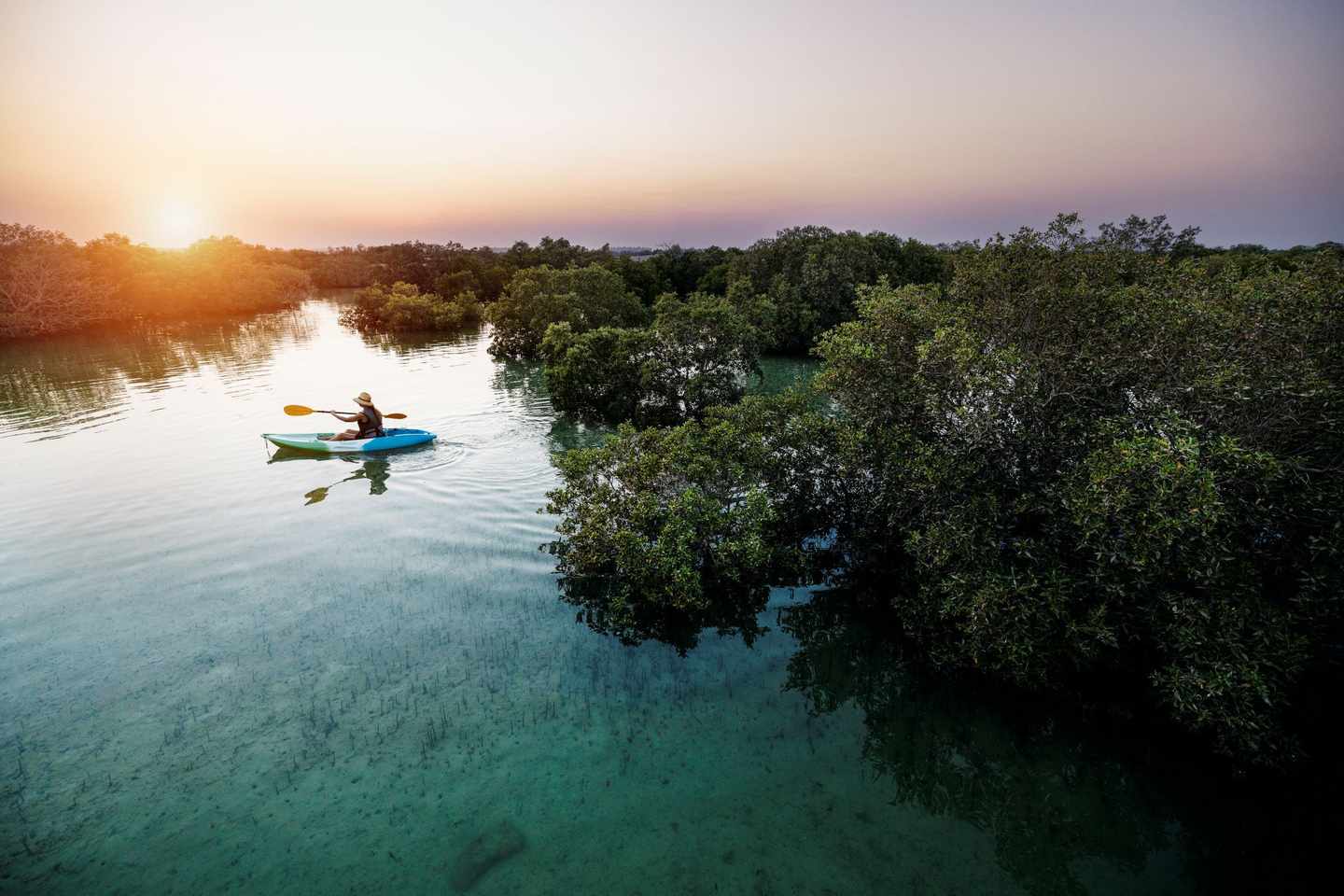 vae-abu-dhabi-kayaking-jubail-mangrove-partnerbild.jpg