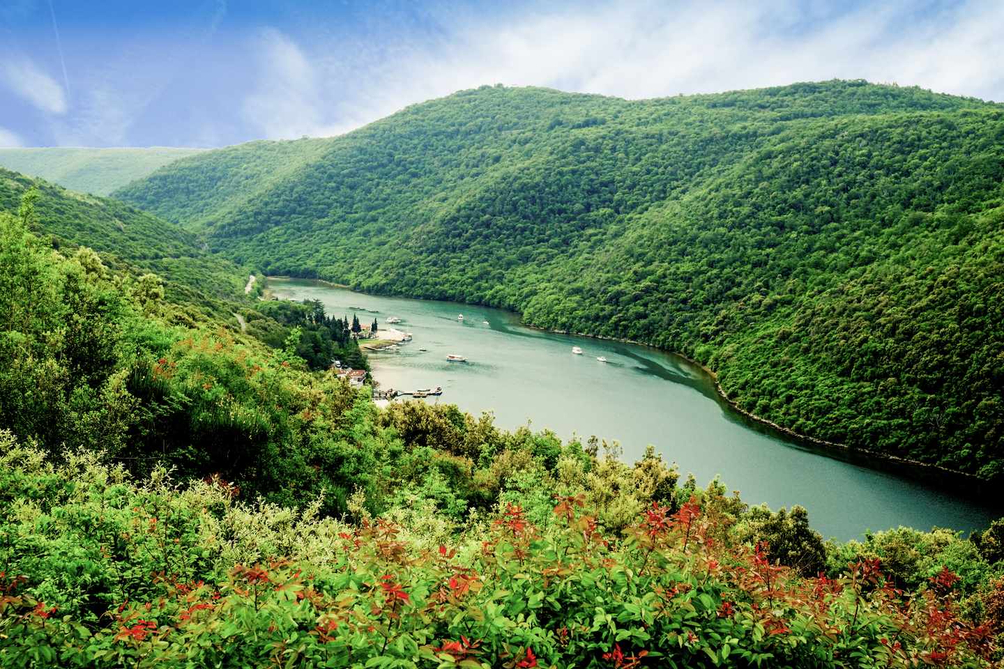 kroatien-istrien-limski-kanal-g-1322233221.jpg