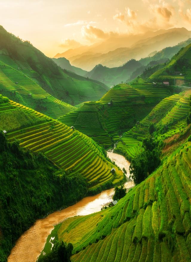 Hotel in Vietnam buchen Mu Cang Chai, Reisfeld Terasse in Vietnam