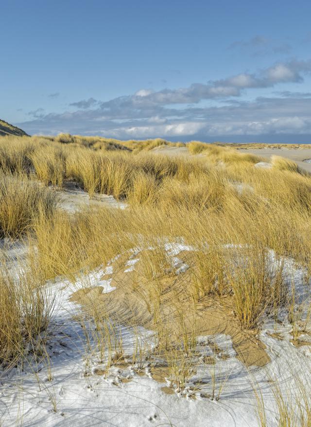 Schönste nordfriesische Inseln
