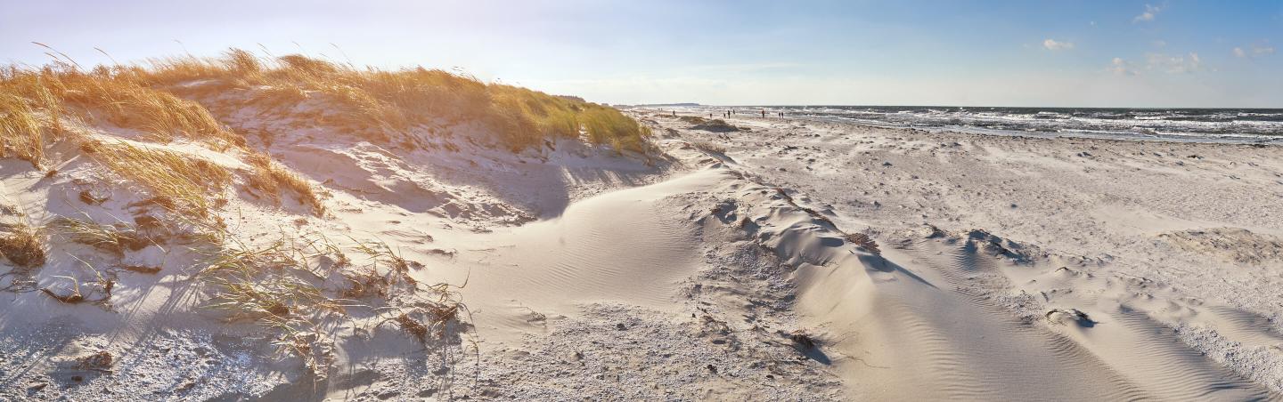 deutschland-ostsee-hiddensee-strand-g-1135194870.jpg