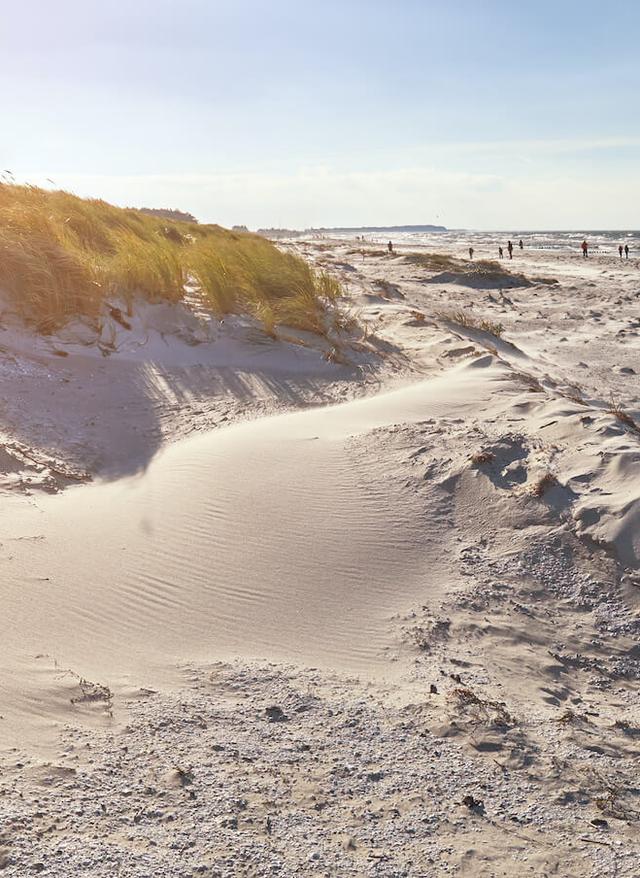 Die schönsten Strände an der Ostsee deutschland-ostsee-hiddensee-strand-g-1135194870.jpg