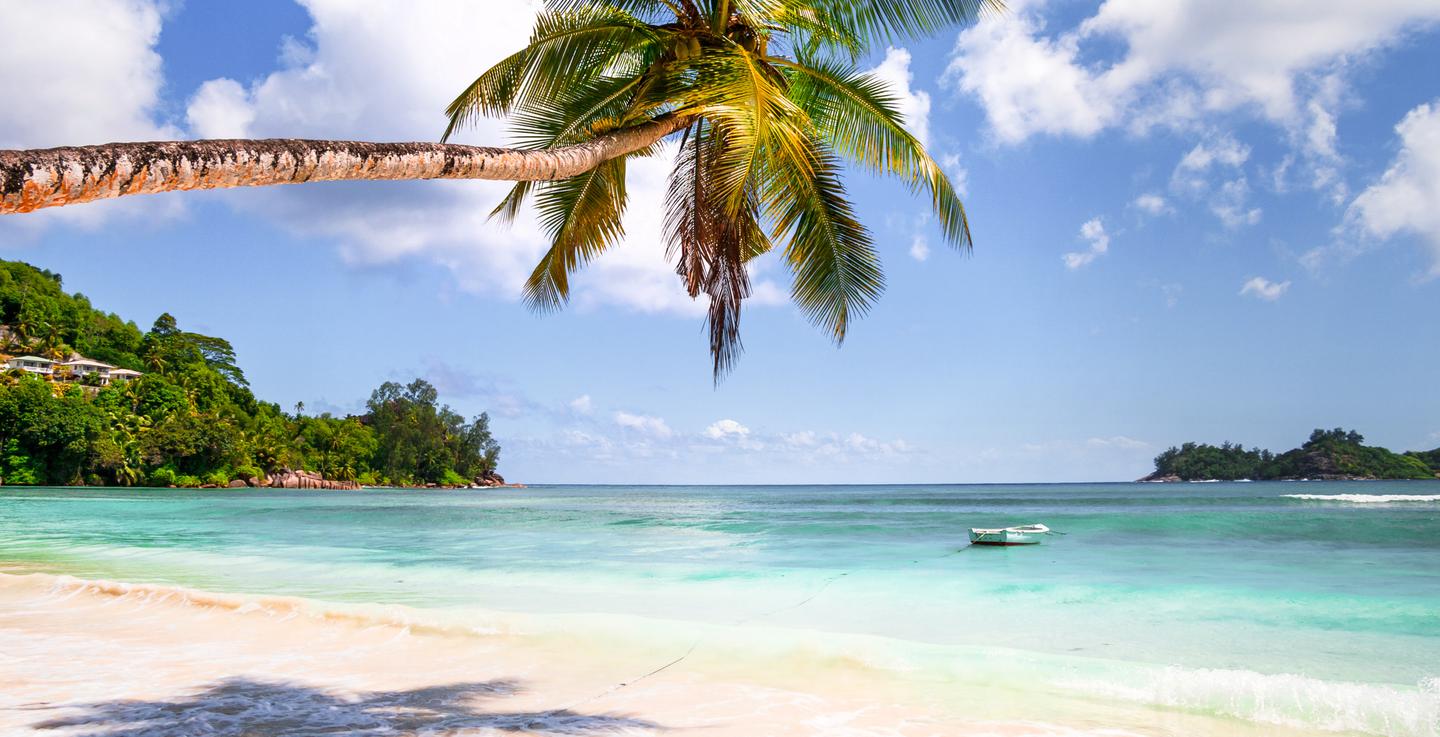 blt7886f5a59ab889ca-mauritius-perfekte-tropische-landschaft-palme-ueber-tuerkisfarbenen-meer-g-671484972.jpg mauritius-perfekte-tropische-landschaft-palme-ueber-tuerkisfarbenen-meer-g-671484972.jpg