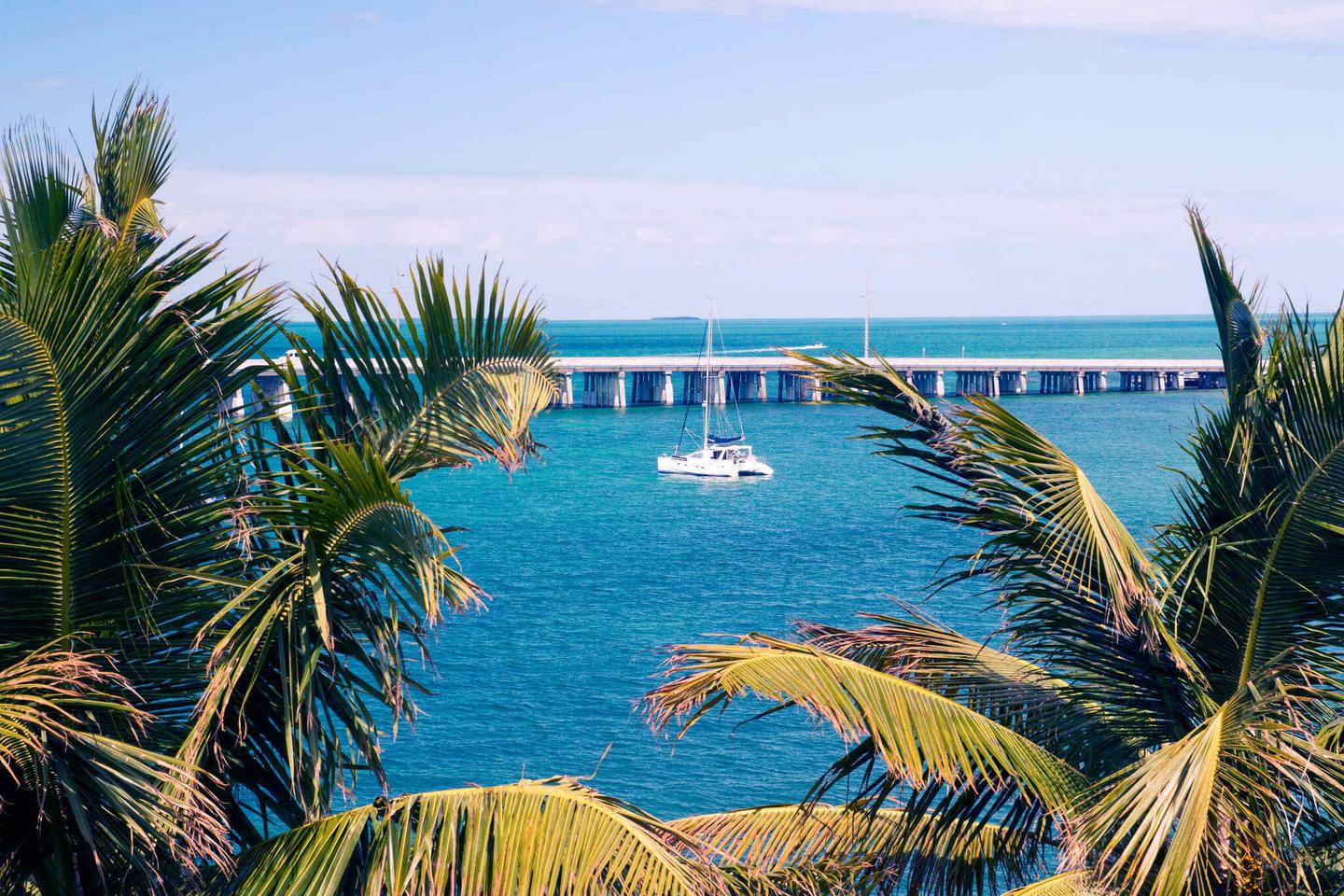 usa-florida-keys-blick-durch-die-tropischen-palmen-auf-die-blaue-lagune-mit-angedocktem-luxuyachtboot-g-1363266807.jpg