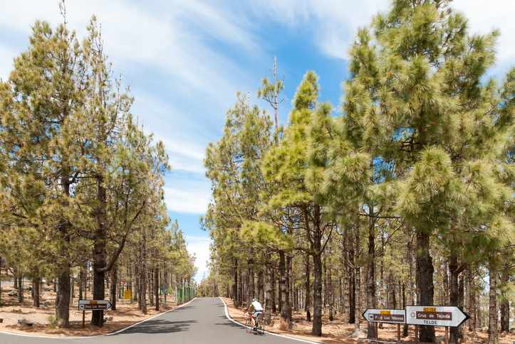 kanaren-gran-canaria-radfahrer-g-530486744.jpg
