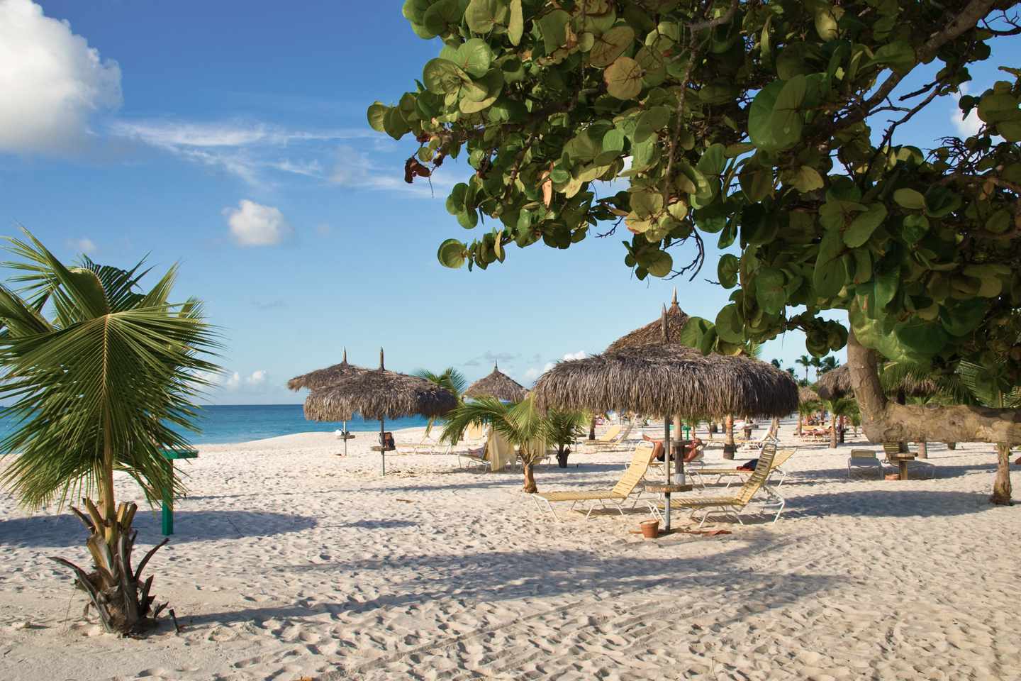 karibik-aruba-eagle-beach-g-173611582.jpg