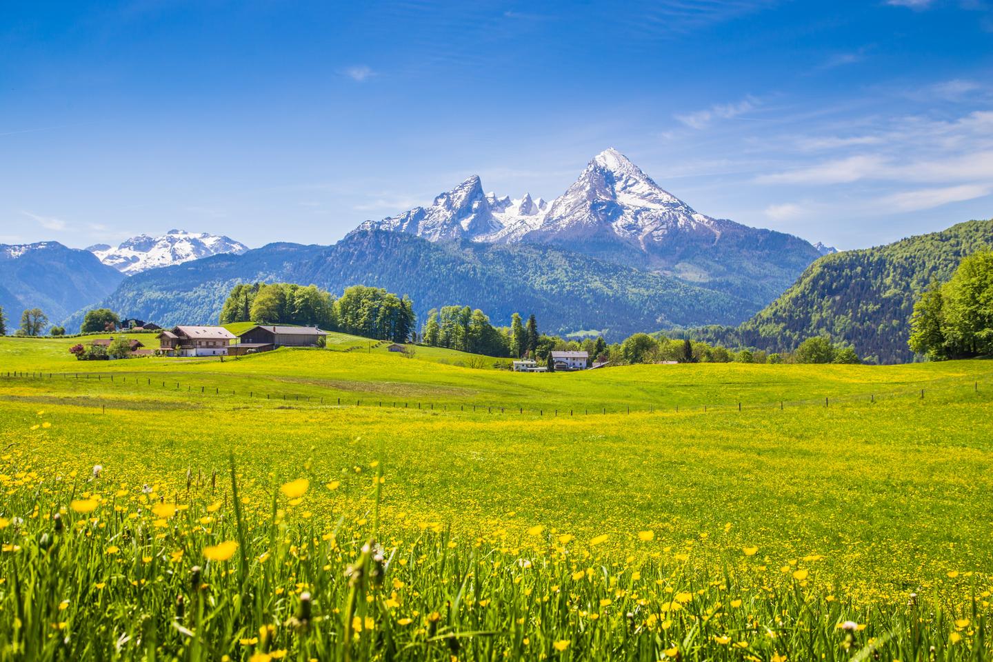 deutschland-alpen-gruene-wiese-blumen-g-652953212.jpg