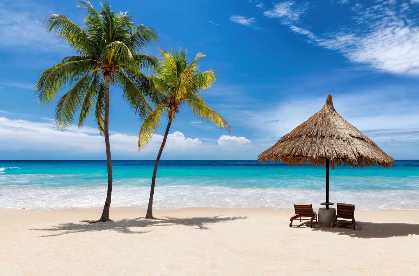 karibik-strand-kokospalmen-sonnenschirm-g-1313788934.jpg