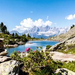 Urlaub Steiermark